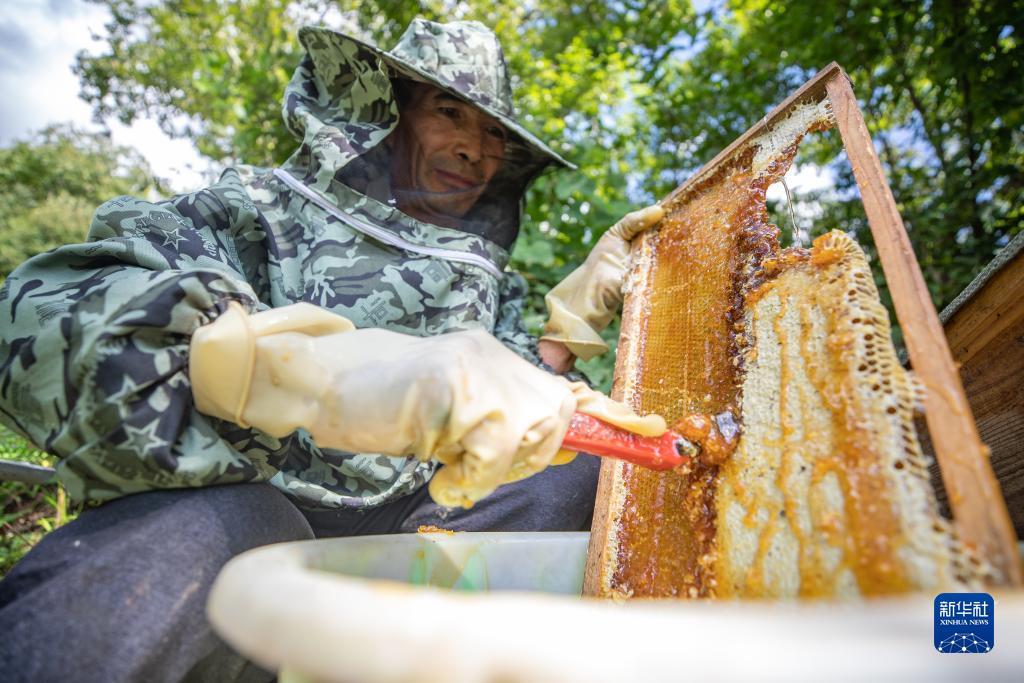 经典诈金花在线玩